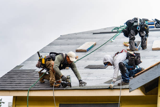 Professional Roof Repair technician working in Hemlock, NY